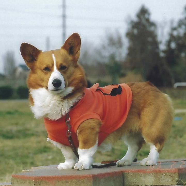 00d3deef 5390 483b 8ec9 a24f6545bac5