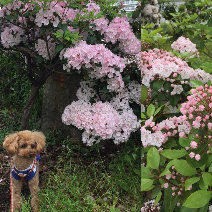 00d47e73 96f6 4841 a111 247380f172fe