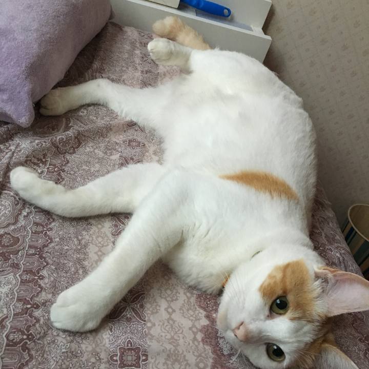 00d495e1 77cd 4eb5 9c47 c28bb330fce4