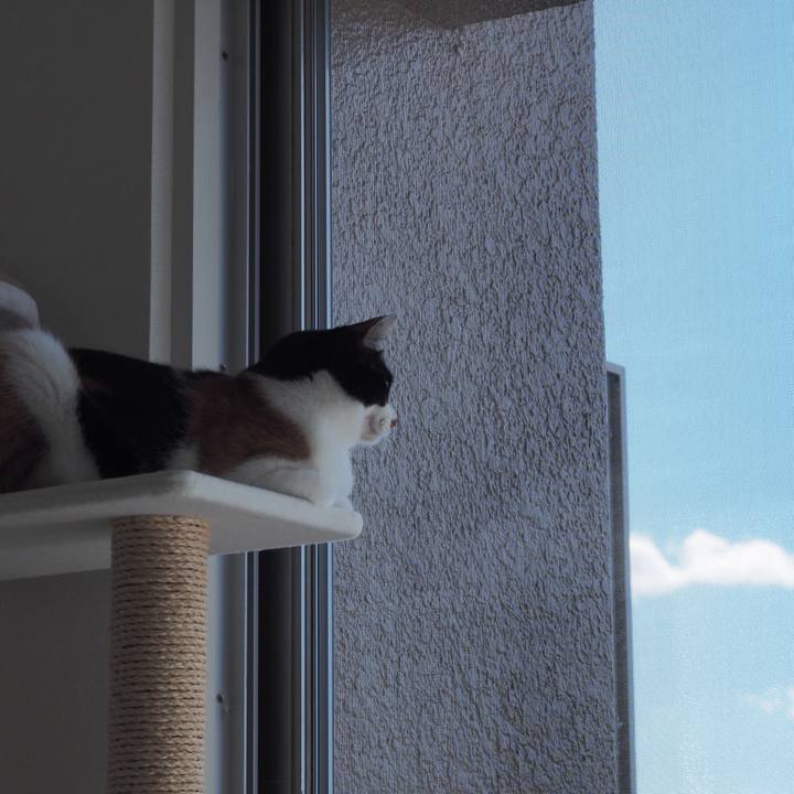 00d4c72c 4c6a 480b a29c 4a97598e740b