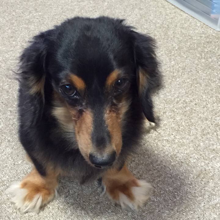 00d59490 5ece 473e 83eb df06c278377f