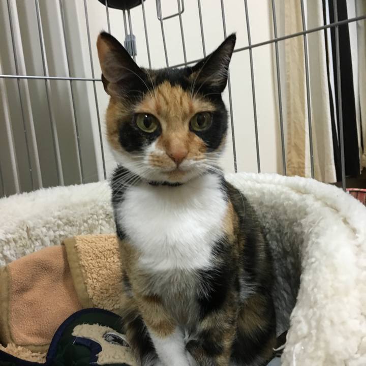 00d594f6 ba69 4d34 adc3 6302d642bf10