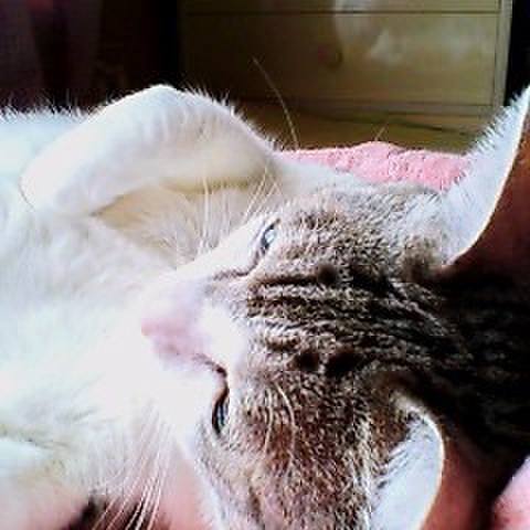 00d654ee 2816 4de8 afca 083b92bfa5c1