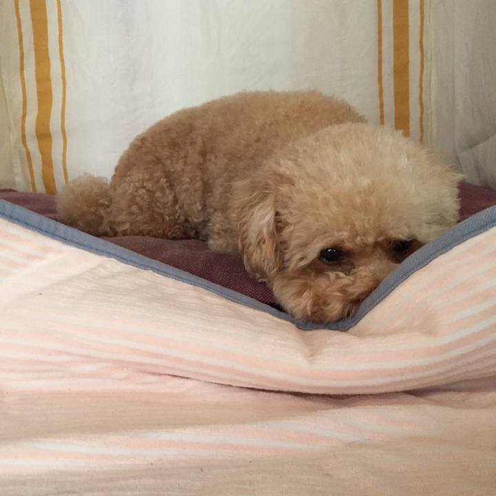 00d68980 38c5 42af be36 eace0505f846