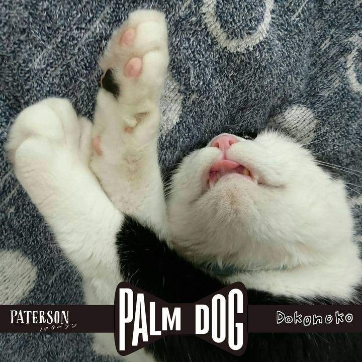 00d68b1a aaa8 4905 baec ddcd9598e6ba