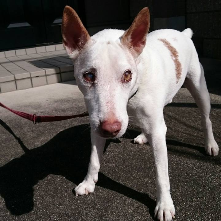 00d6e336 28a1 4d67 94b5 43bbe584ba59