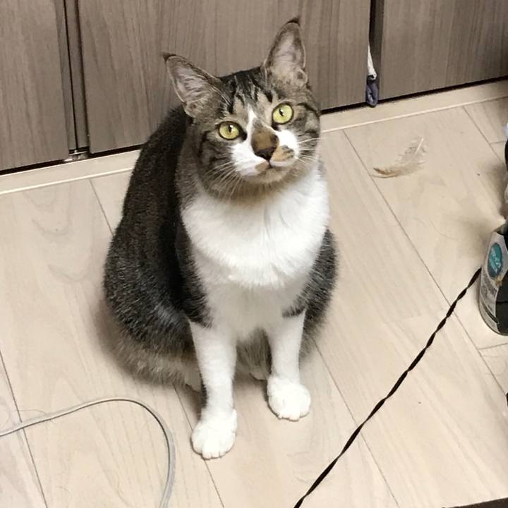 00d7276f fee5 42fe a1ef 8d679a85ffe6