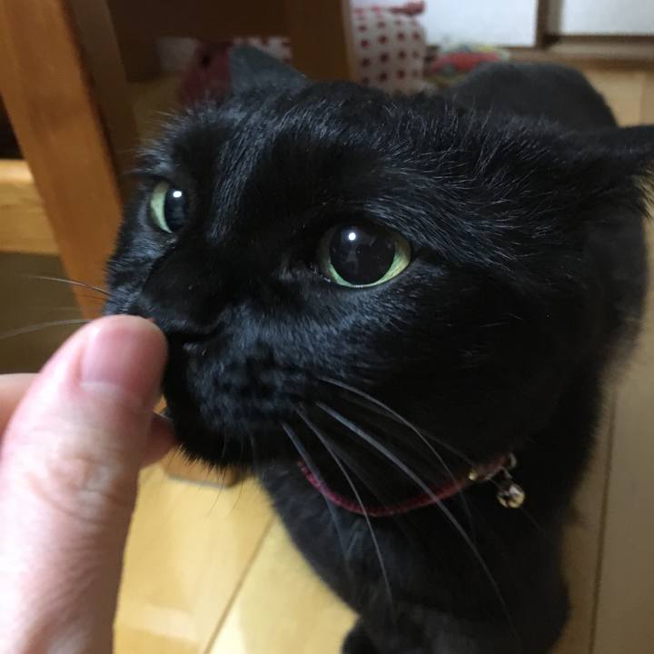 00d76103 ec28 43f8 96f7 50c4a499a70e