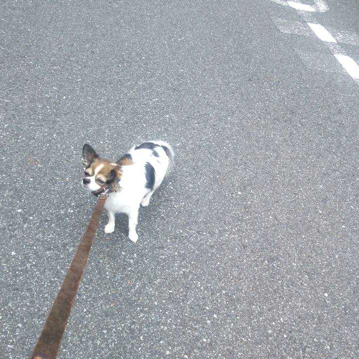 00d79916 882d 4636 aad9 5fe4998af5ec