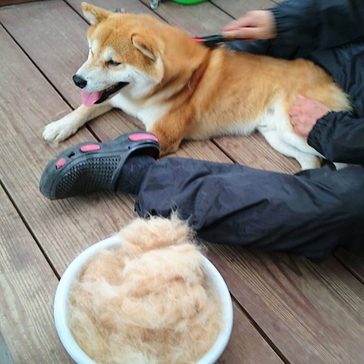 00d8075e 501c 446f b865 16e32a347063