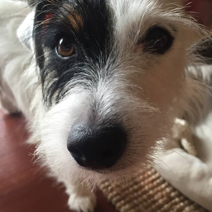 00d830aa 517a 4d8c 84e4 8d4732372eb4