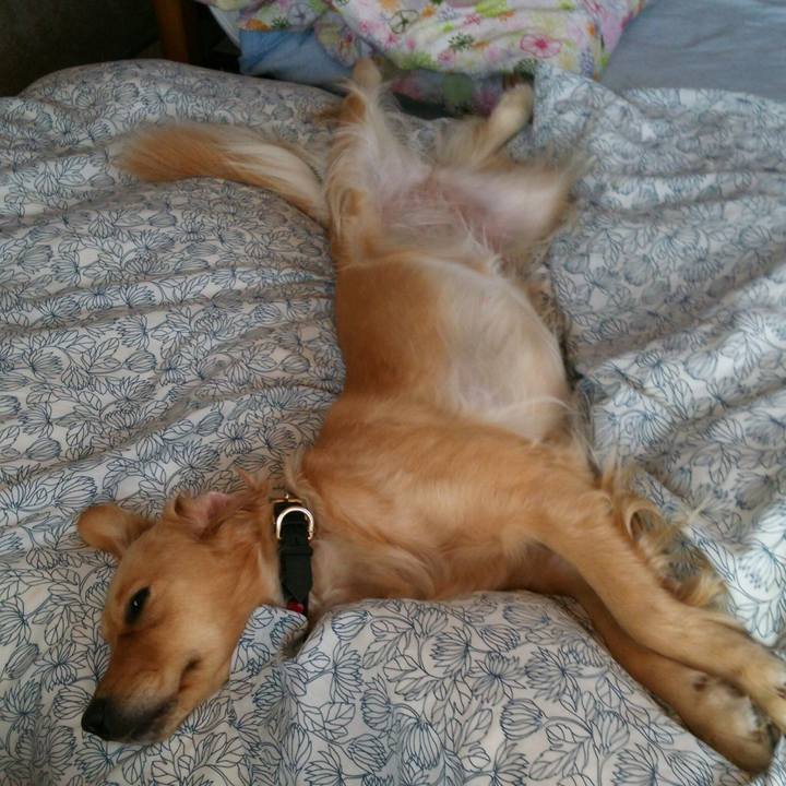 00d840c8 becf 4e4c bc12 f832d1eb57e8