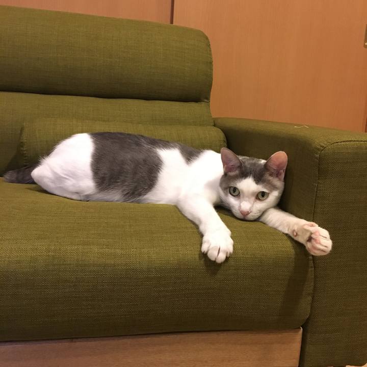 00d8a6c1 eb04 42a5 874b 537ba503b4f6