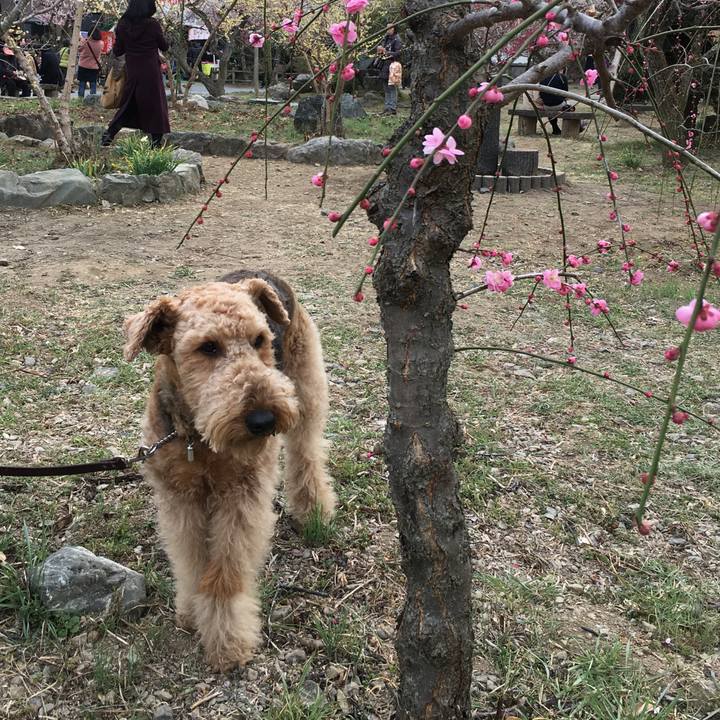 00d90dc4 d3e1 4eef 96f3 7a1e1be6af92