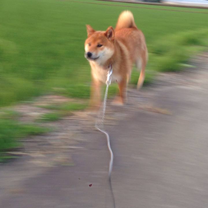 00d9ba00 8a6d 4b80 85bb 30ea6d31eabb