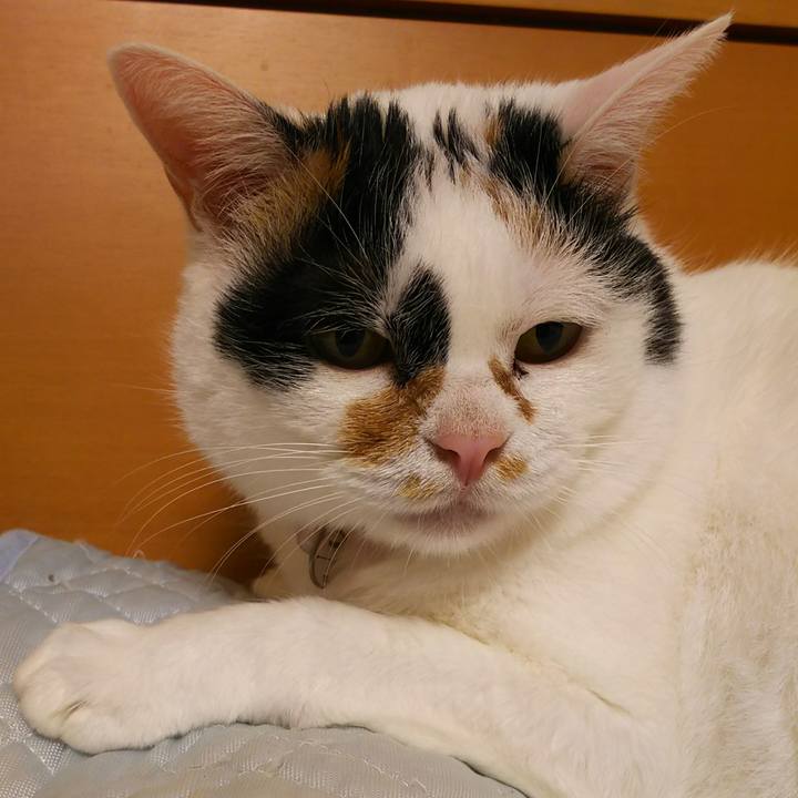 00d9bbd3 3630 4f44 a210 0a1f43b61e61