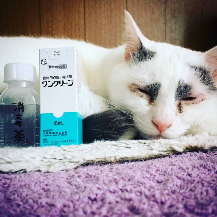 00d9d906 a6a4 4fb4 8c45 e7efa4f446f8