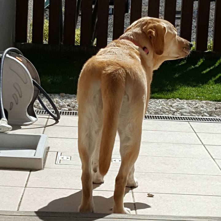 00d9dbe3 a83a 4c56 8fee 9829b5e29d28