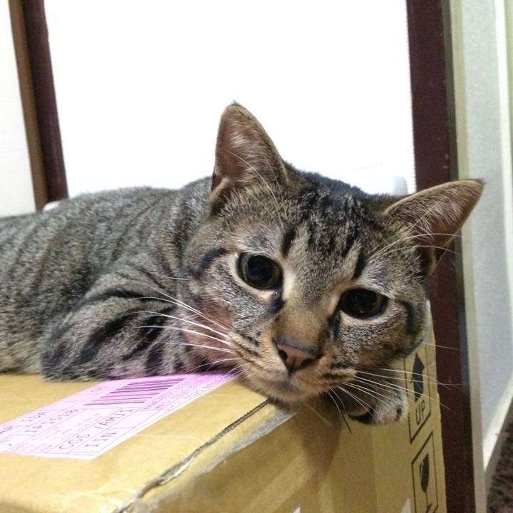 00da0c52 b434 46c7 82c3 87e1cf5ef17c