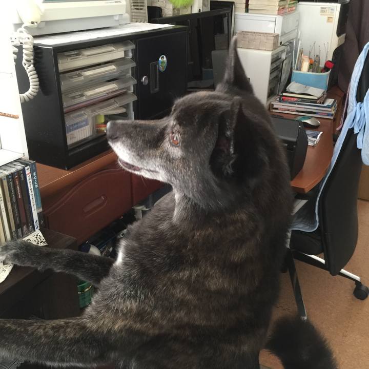 00da2a54 ddad 42bf 983f 58feca9900ac