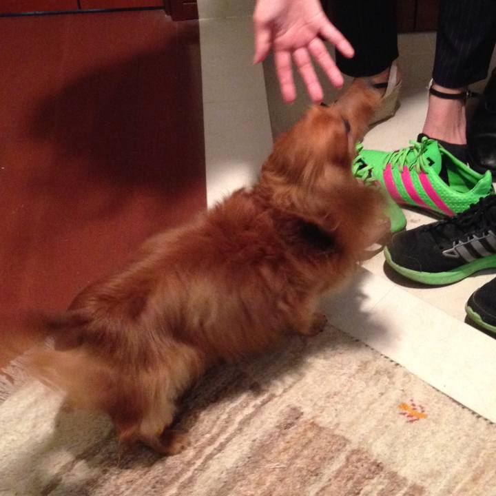 00dad37d fb18 4d20 86eb 5aa2f3d82fbe