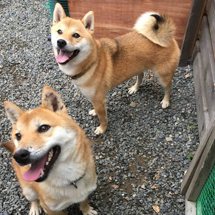 00db1084 e8d1 47c8 bda7 63f294cdfdc7