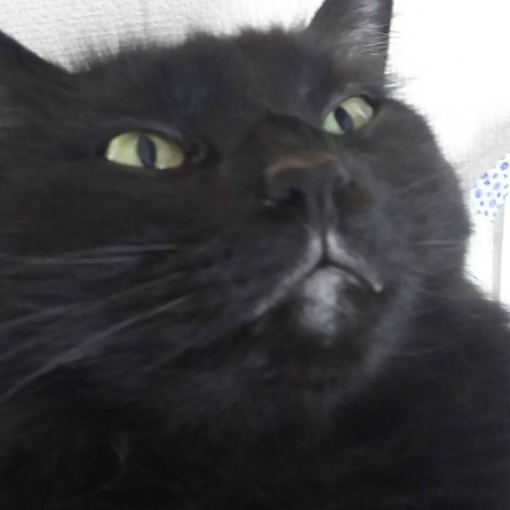 00db15c1 f393 4a3a 8d15 76a6d379bf03