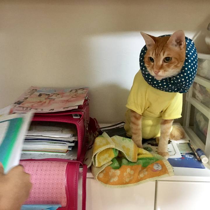 00db8f5d 2169 4e17 8269 7a264d1e3a23