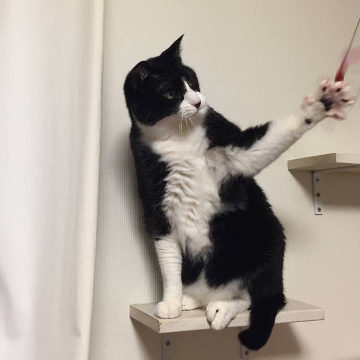 00dbe118 3d46 4f1b bcf1 b31c17efacde