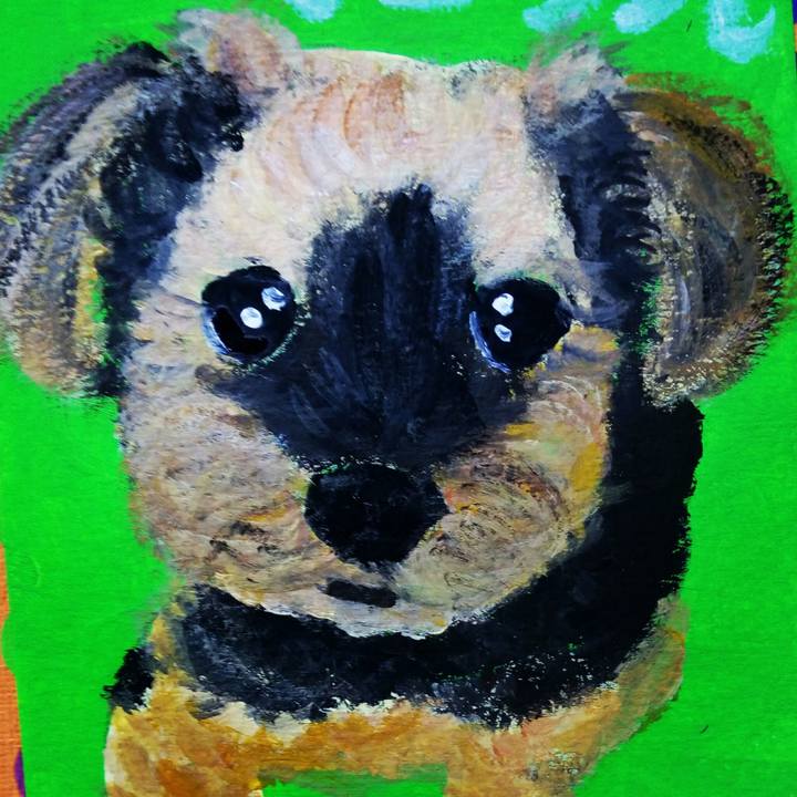 00dc05a6 4a22 413d 9a1c 2926c18cc9cd