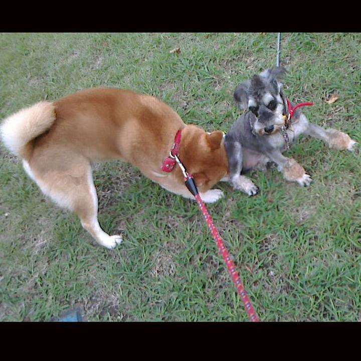 00dcca20 fce2 4922 bdaf d33c23d0e9b7