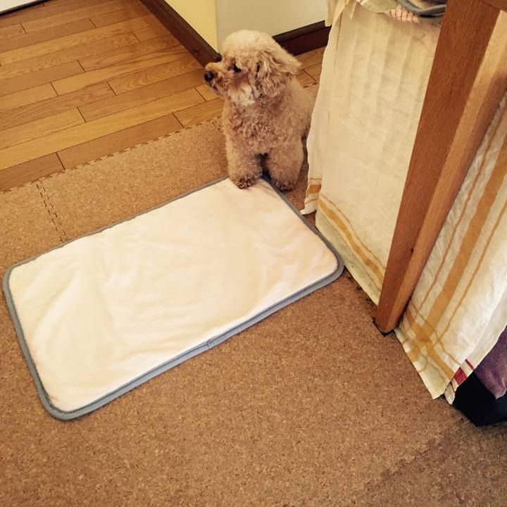 00dd0630 ac98 403d ac21 bbb306696d62