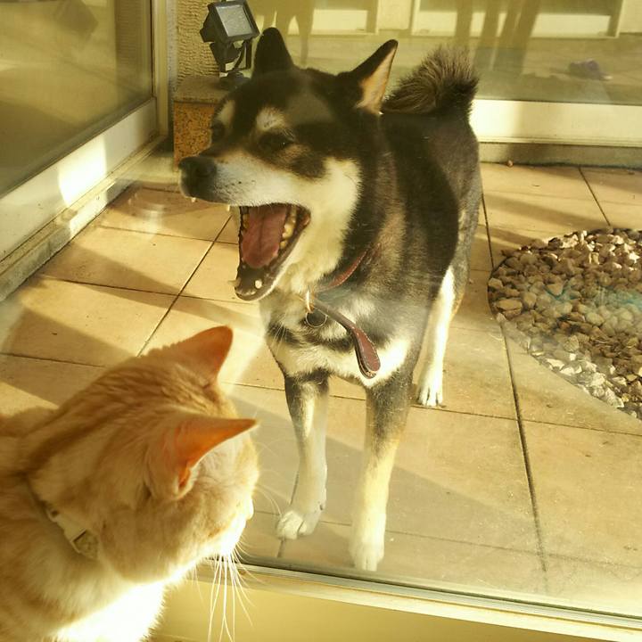 00dddd4c 869a 4ead b66c d771b36150ea