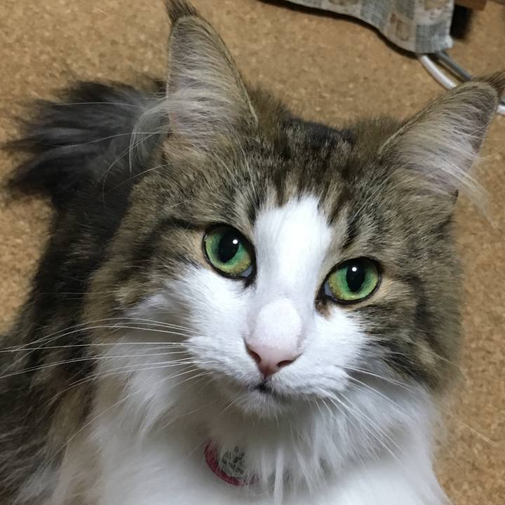 00de73bd 68b3 476e 94bf 122c7cfe887b