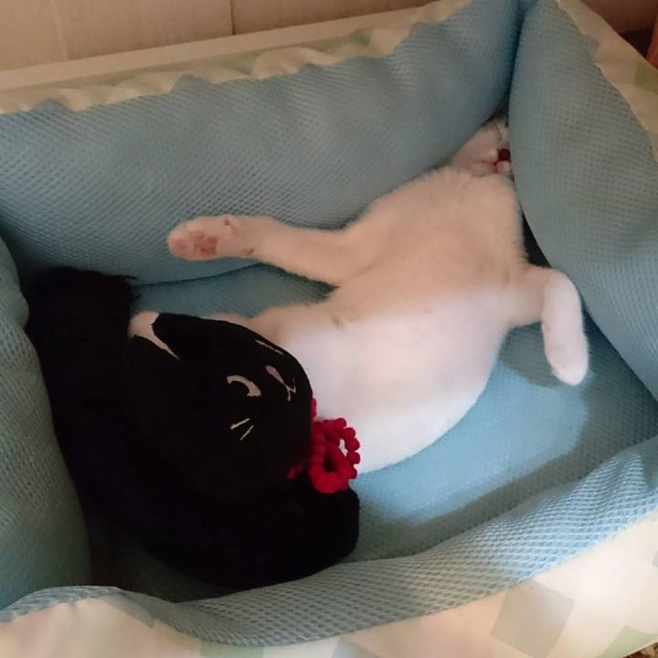 00deb117 2881 4ce7 b959 fab54ea32da4