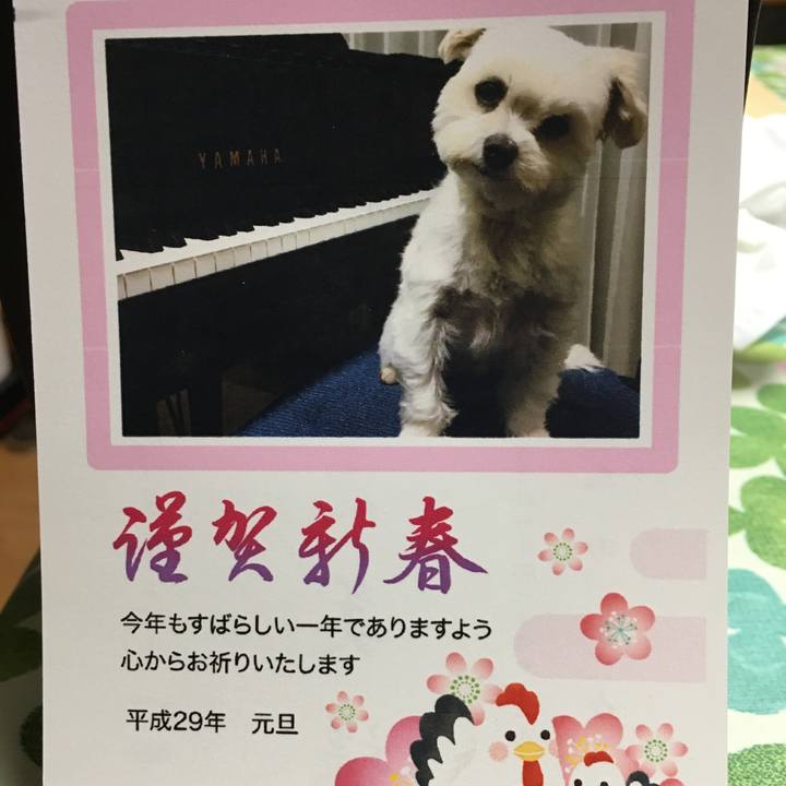 00dee227 db0b 45fd 998b ce547cf56b27