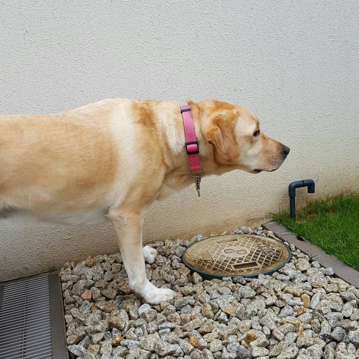 00df0aac e03f 4782 a94f 5827261cfc9c