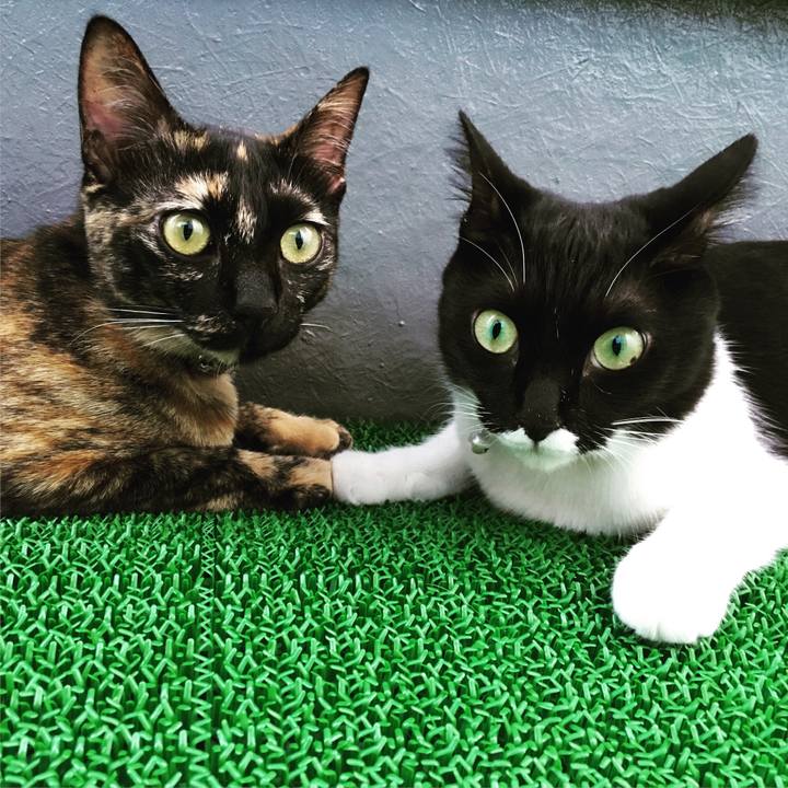 00df3986 2be6 4cc6 8f72 3dc59f221ae8