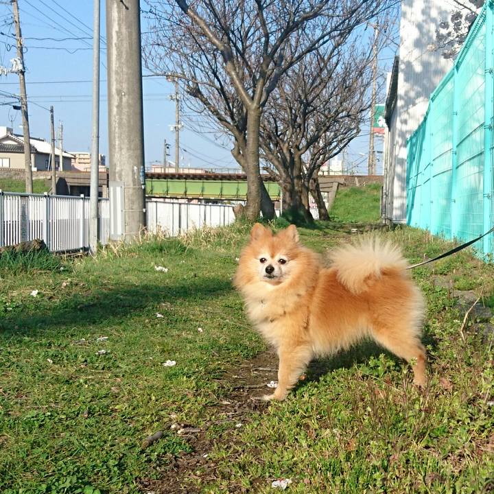 00dfe17c bb36 4b24 a71c 9f287ac69e45