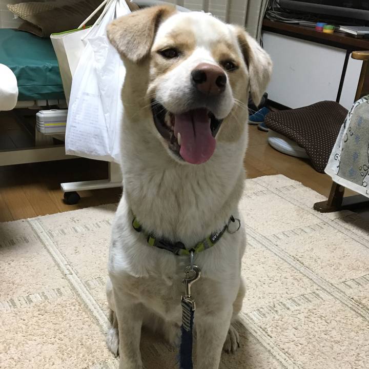 00dff768 45b4 43a8 ac70 05c61e72b87b