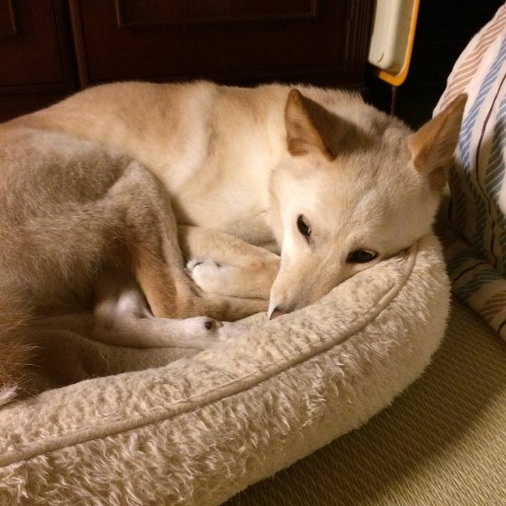 00e030bd be15 4f3d 9e2d 8c3a503a651f