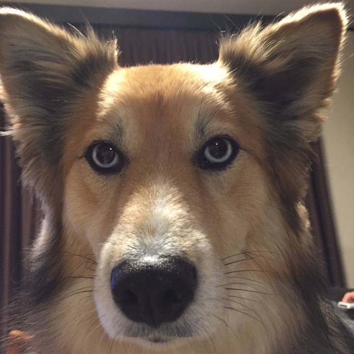 00e16382 0cc3 4dd5 954f 87399365dfb8