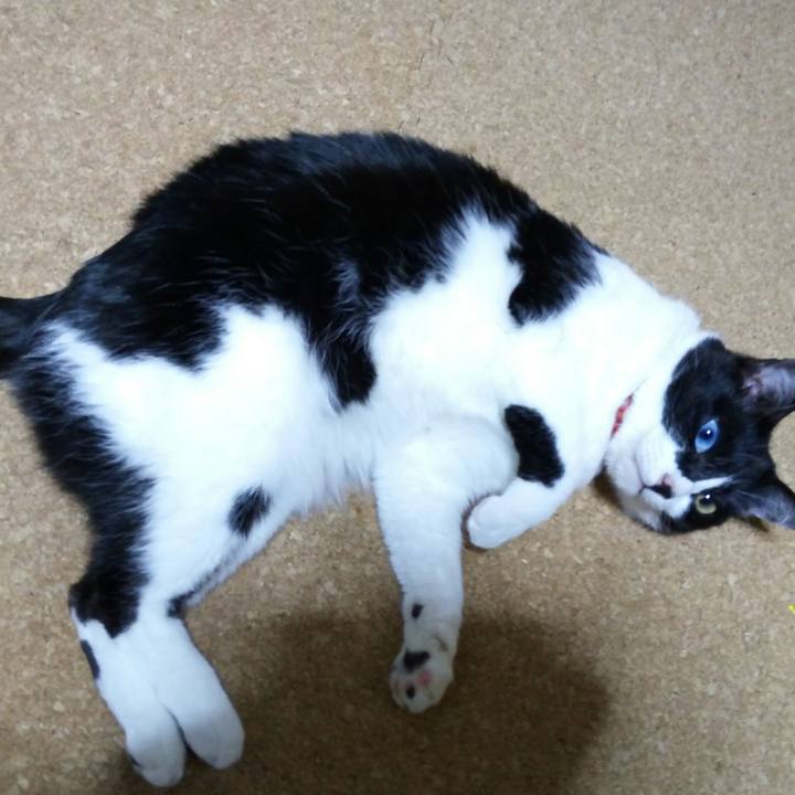 00e1b1db eded 4025 9c64 d9cf16499289