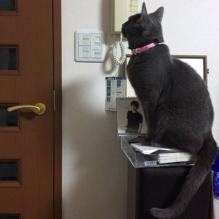 00e1c5af 7070 4e31 bd68 b5b953656132