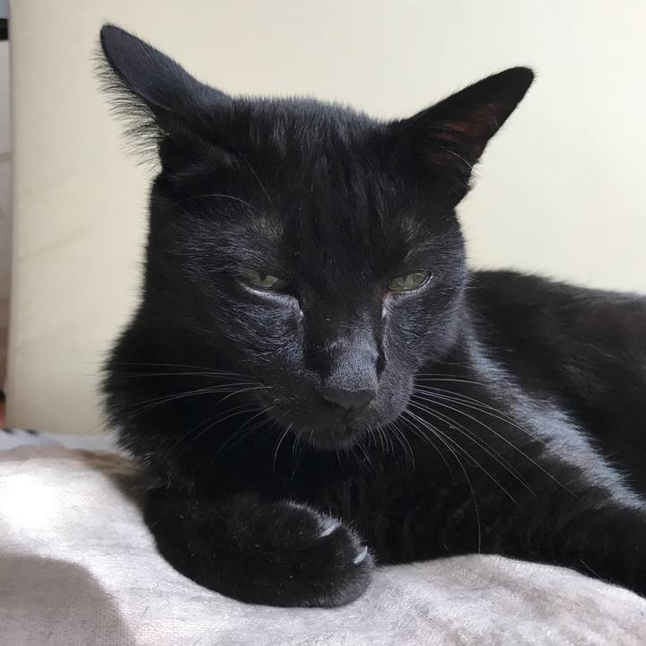 00e27b55 908b 44ce 95dc c27a78f173c5