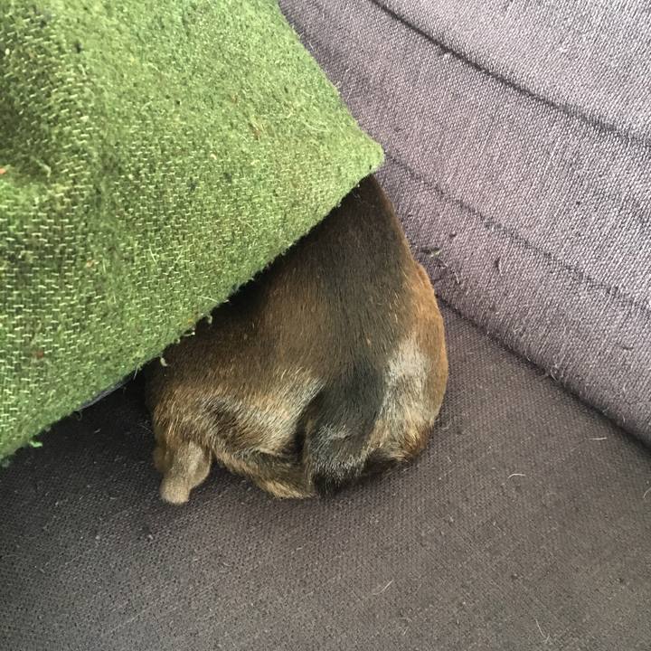 00e2835a 514a 4512 afec 43e929af1515