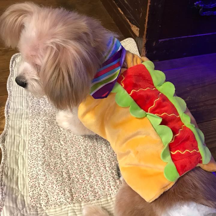 00e2bd3f ff0d 46ed 8bd0 f80ef674e91f