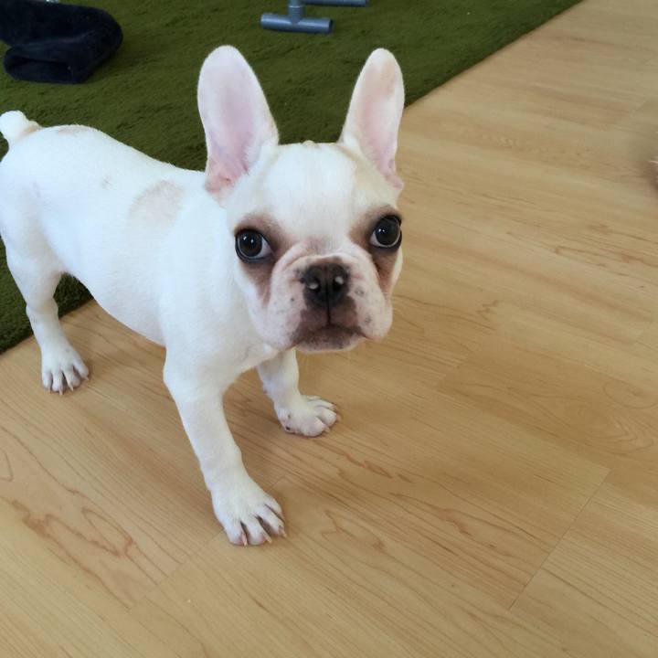 00e2f042 eccc 4e2b 9c27 4f6841c83987