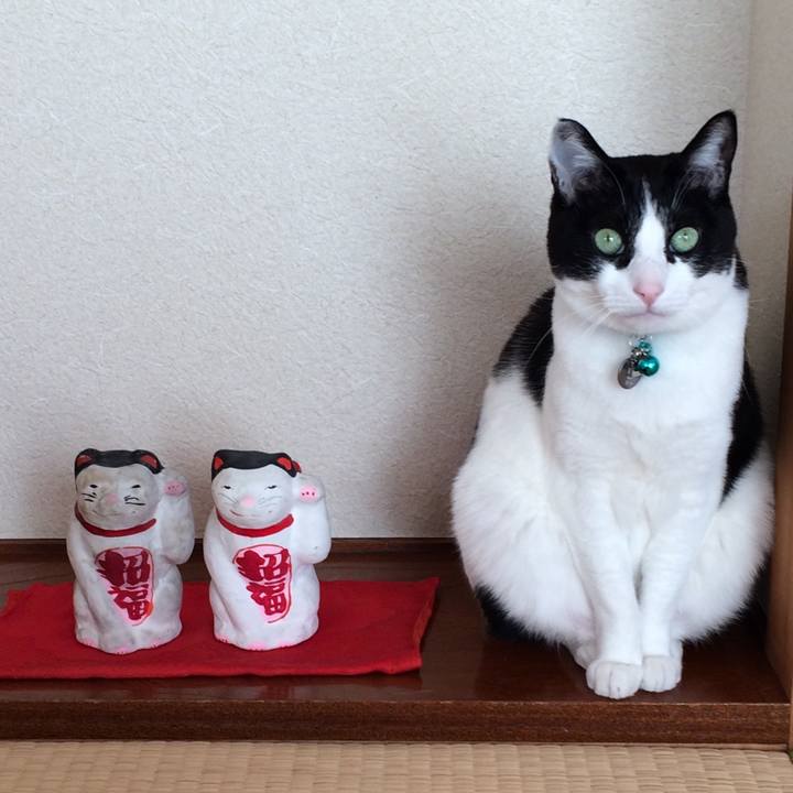 00e37518 66a8 45c0 a02e b363a5b1acb6