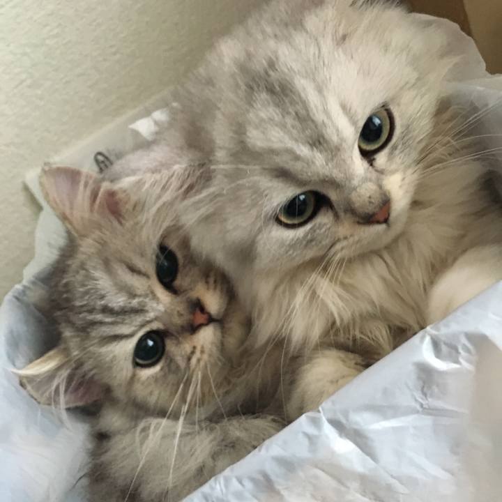 00e37a5f 430f 4b3e 88f6 33a06c60ced6